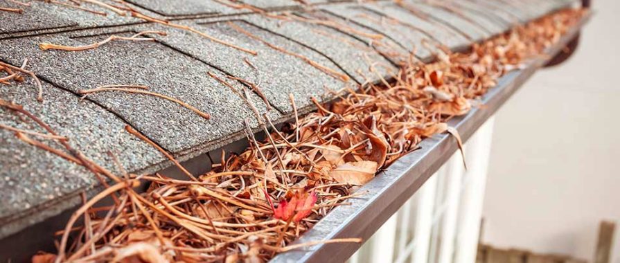 leaves and twigs clogging up a gutter
